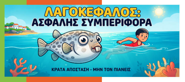 Λαγοκέφαλος Αντιμετώπιση: Τι να Κάνεις σε Περίπτωση Δαγκώματος ή Τραυματισμού